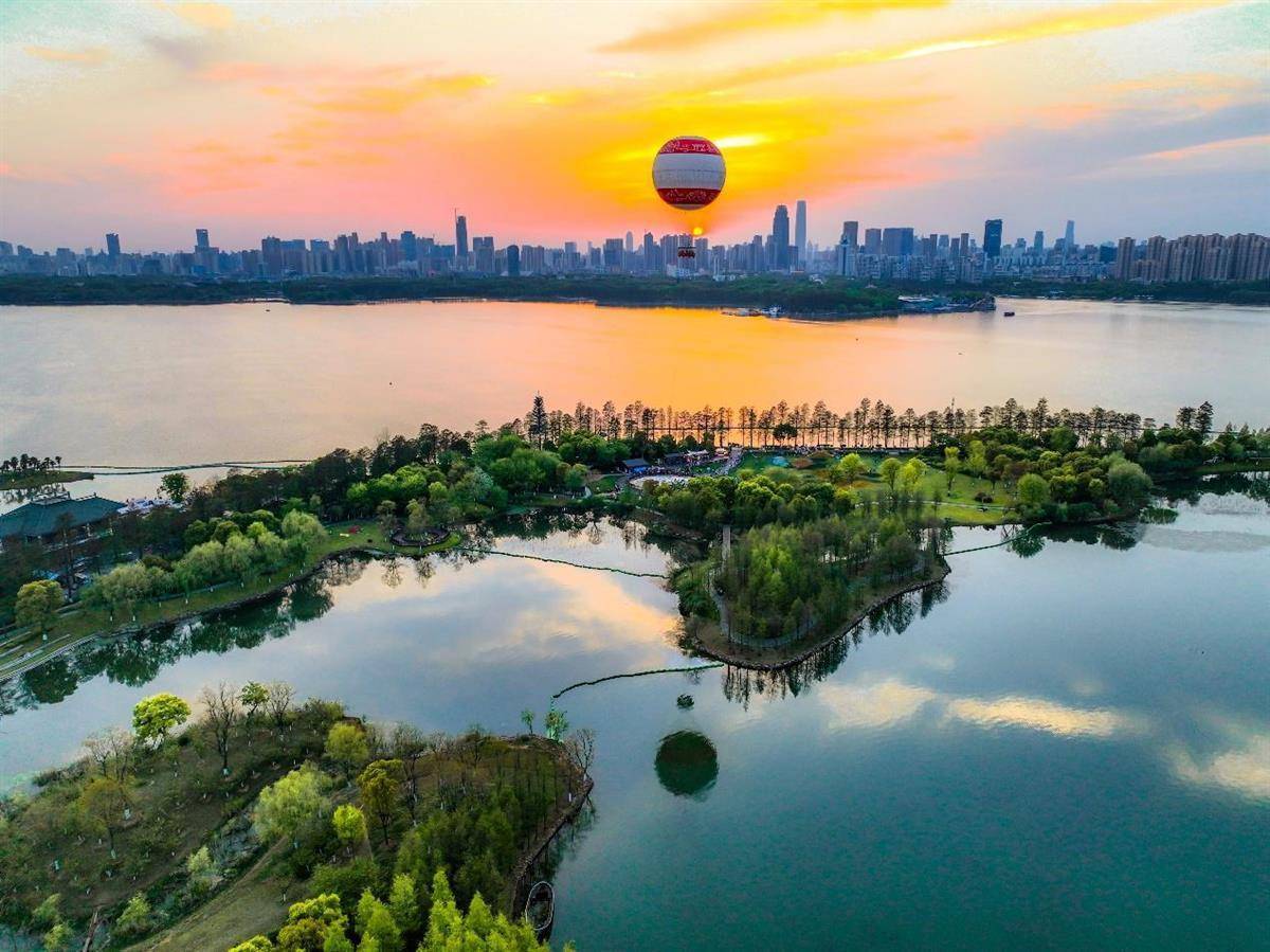 百乐牛牛怎么看的