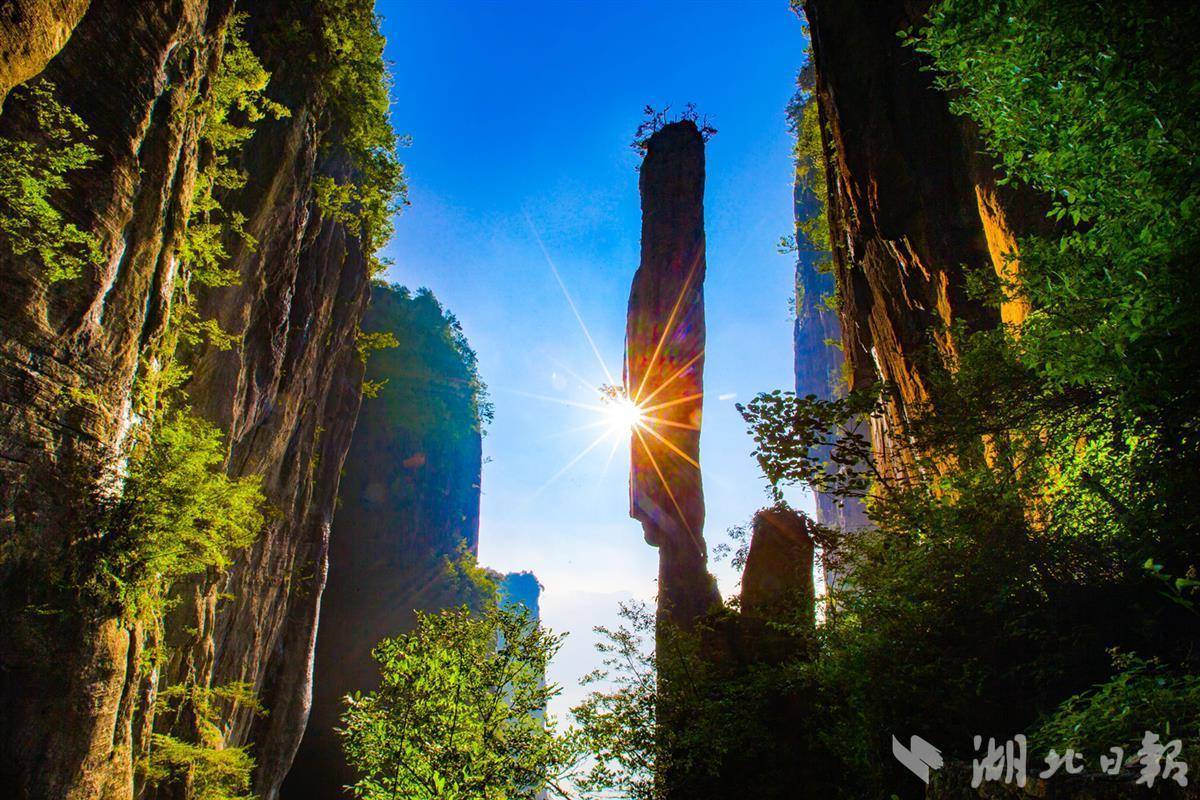 游戏打鱼游戏